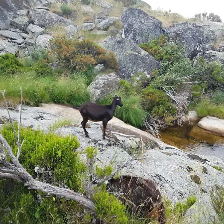 Casa Da Bela Vista - Serra Da Estrela * קוביליה